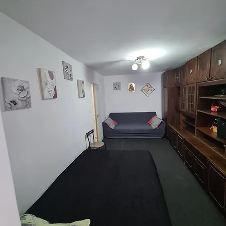 Apartament 2 Camere R4 Siret Room photo